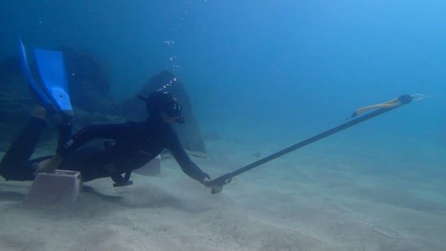 Pesca submarina